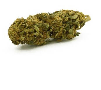 Fleur CBD Amnesia